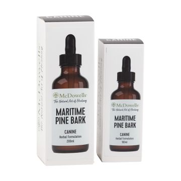 Maritime Pine Bark Extract