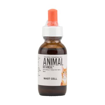 Mast Cell Feline