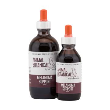 Melanoma Support