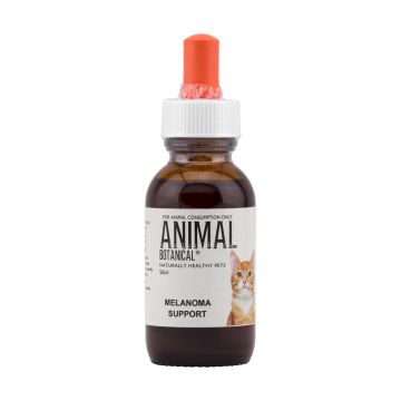 Melanoma Support