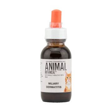 Miliary Dermatitis