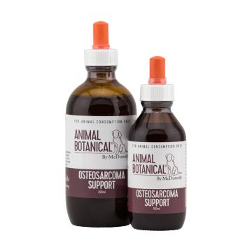 Osteosarcoma Support