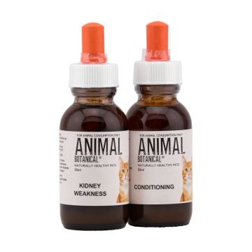 Renal Failure Support Program-Cat