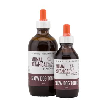 Show Dog Tonic