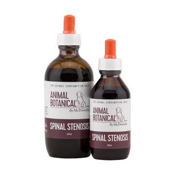 Spinal Stenosis