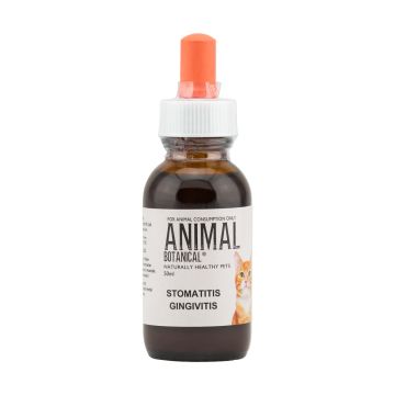 Stomatitis Gingivitis