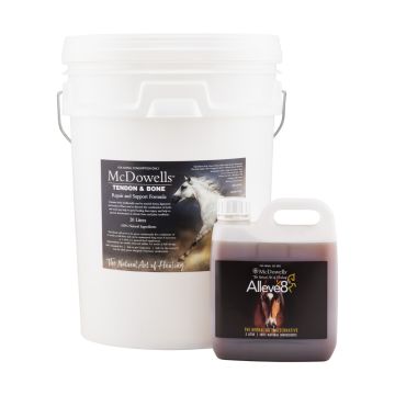 Structural Injury Program