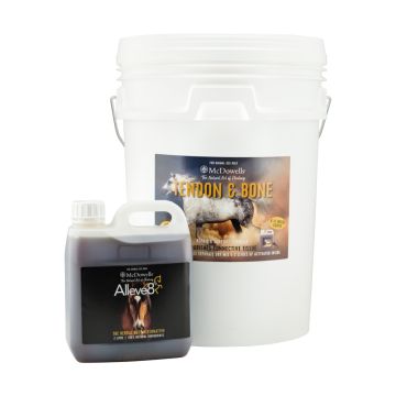 Structural Injury Program