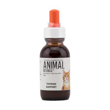 Thyroid Support