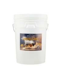 Tendon & Bone Bucket