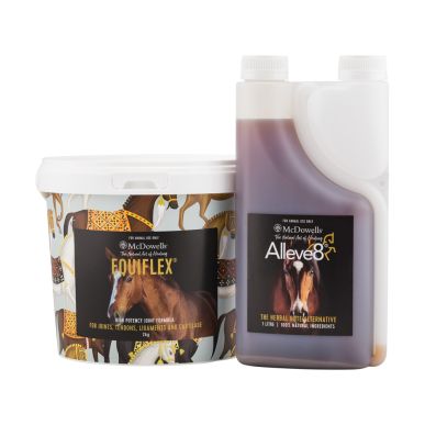 Arthritis Program for Horses