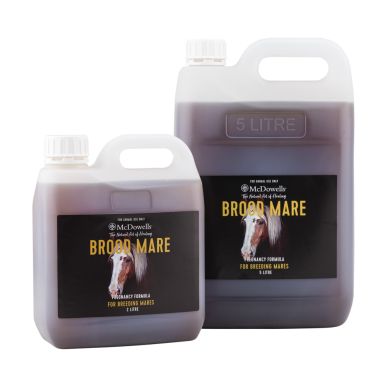 Brood Mare 