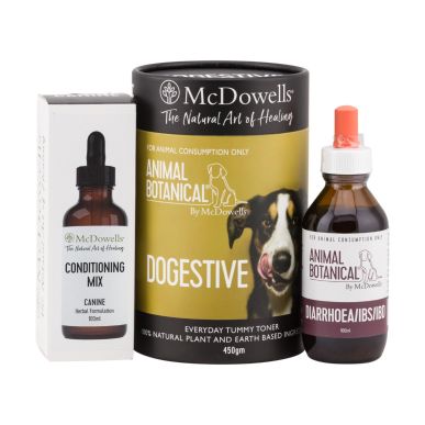 Digestion Support Program
