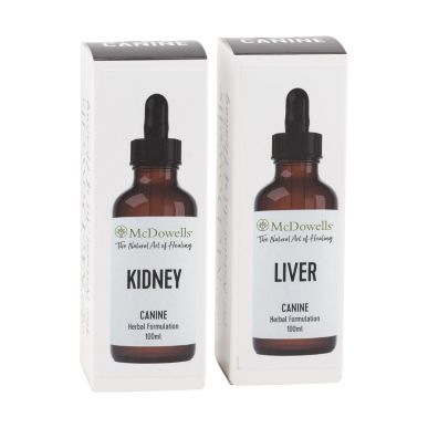 Kidney Program