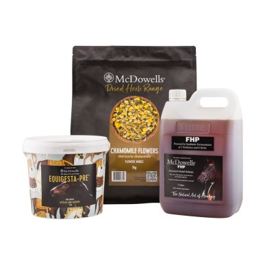 Gut Repair Kit