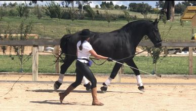 Catherine McDowell Lesson