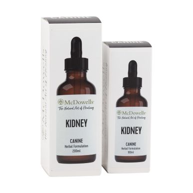 Kidney
