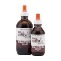 Hemangiosarcoma Support