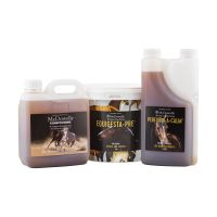 Weight Gain and Rescue Horse Conditioning Program