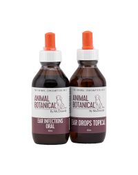 Ear Infections Program