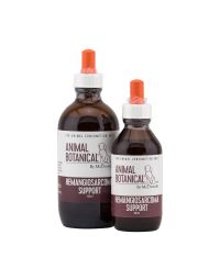 Hemangiosarcoma Support