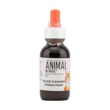 Fungal / Yeast / Viral