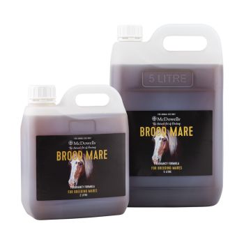 Brood Mare 