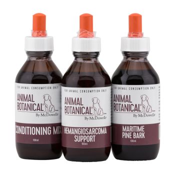 Hemangiosarcoma Support Program