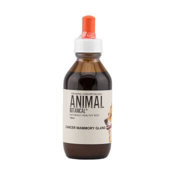Mammary Gland C Support