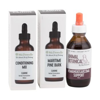 Hemangiosarcoma Support Program