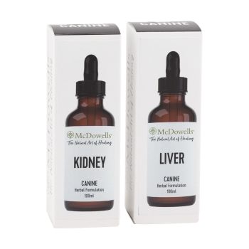 Kidney Program