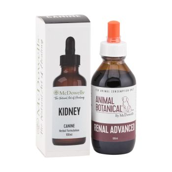 Renal Disease Program