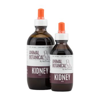 Animal Botanical Kidney