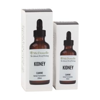 Kidney