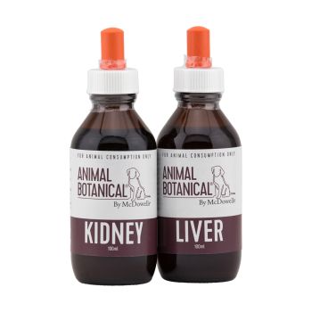 Kidney Program