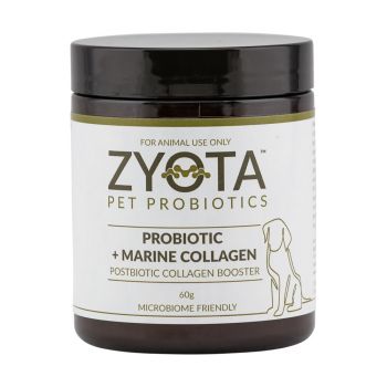 Zyota Probiotic + marine collagen