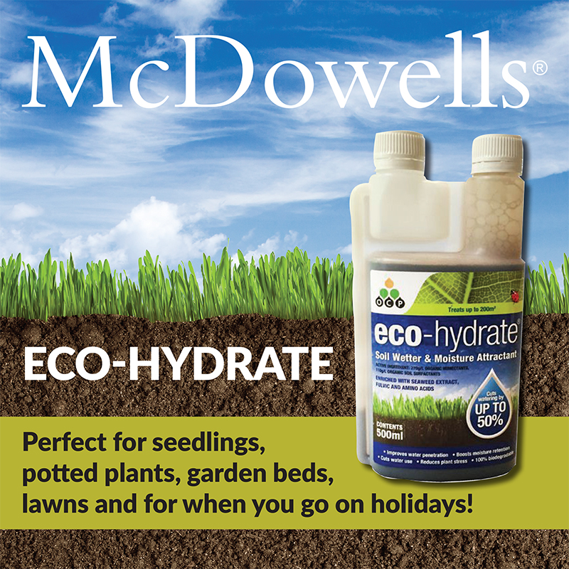 Eco Hydrate Tile
