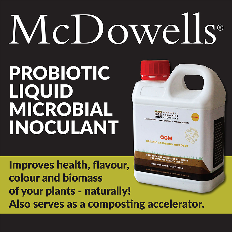 Probiotic Liquid Tile