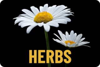 Herbs Category
